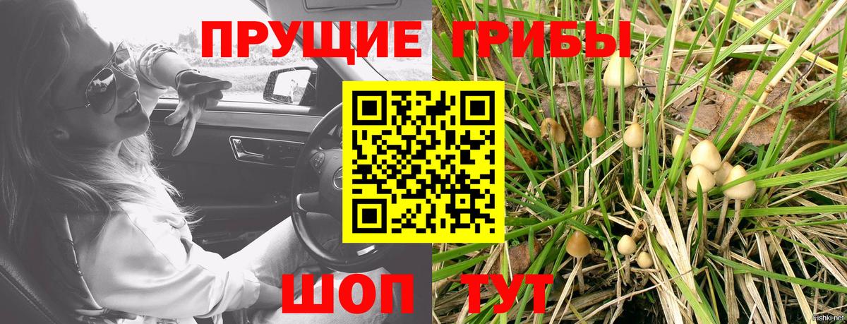 Югорск  Галлюциногенные грибы ЛСД  Вход с VPN 