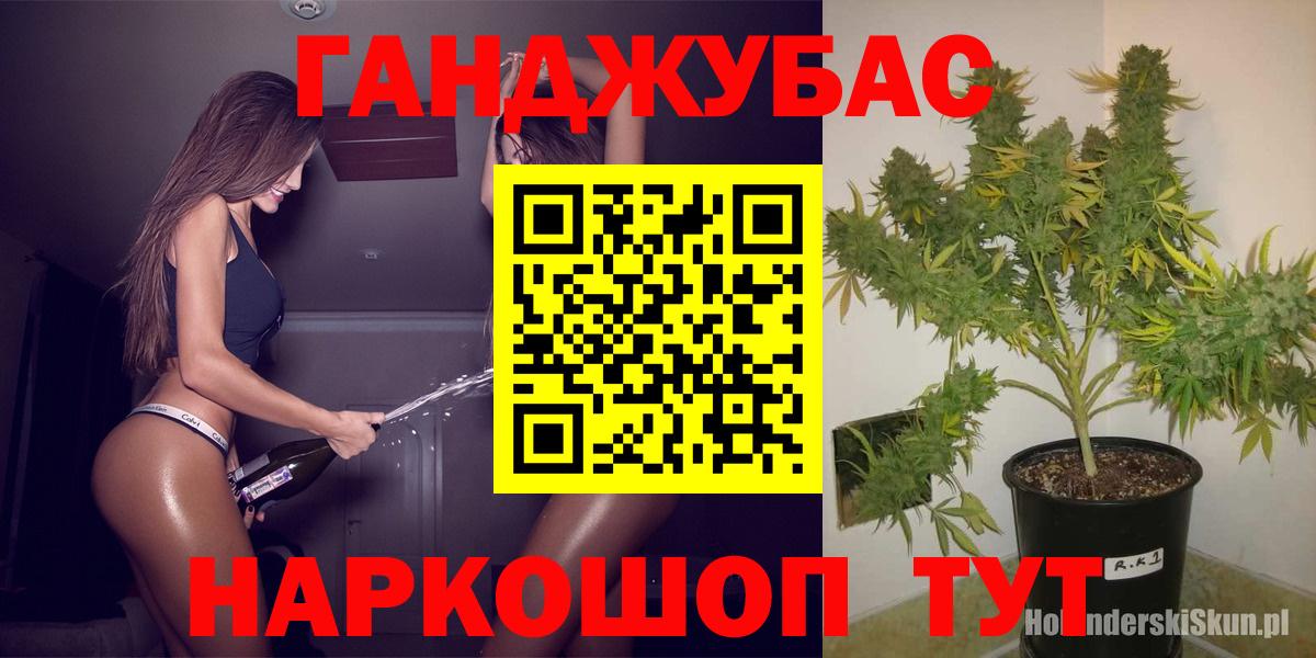 Каннабис план  Вход с VPN  Конопля гибрид  Югорск  Марихуана планчик  Шишки марихуана семена 